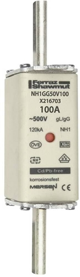 Picture of Wkadka bezpiecznikowa NH 1C 100A 500VAC gG X216703