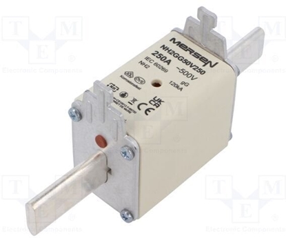 Picture of Wkadka bezpiecznikowa NH 2C 250A 500VAC gG R222494