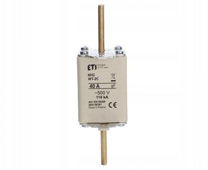 Изображение Wkadka bezpiecznikowa NH2C 40A gF 500V 004139391