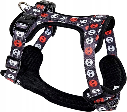 Picture of Zestaw, szelki+smycz, dla psa/kota, róowe, poliester/bawena, d. smyczy 1,2m, rozmiar S