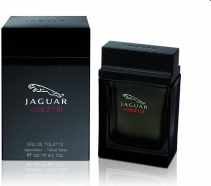 Изображение Jaguar Vision EDT 100ml