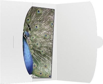 Attēls no 1x50 Daiber Cover          15x20 white