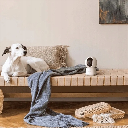 Picture of Arenti Indoor 5G Wi-Fi UHD 3K/5MP Pan Tilt Zoom Priv Cam