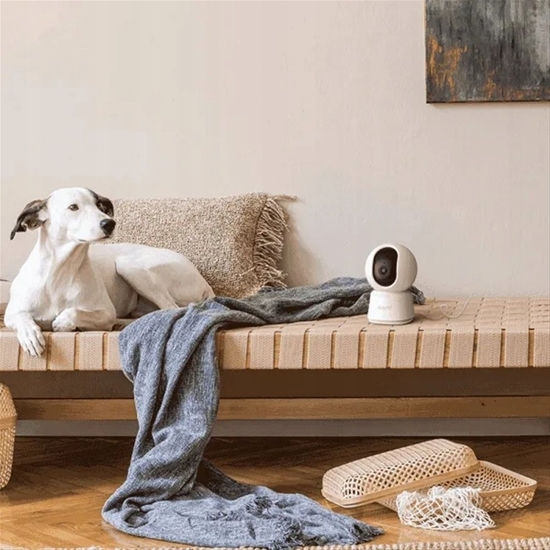 Изображение Arenti Indoor 5G Wi-Fi UHD 3K/5MP Pan Tilt Zoom Priv Cam