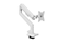 Picture of Arozzi Desk Mount | Neo Single - Gas Spring Monitor Arm AZ-ALZARE-NEO-WT | Tilt, Swivel, Rotation | Maximum weight (capacity) 9 kg | White