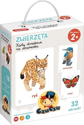 Изображение Bright Junior Media CzuCzu Karty Obrazkowe Na Sznurku Zwierzta
