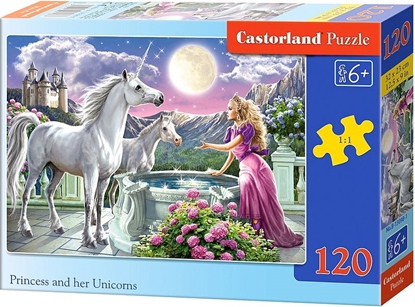 Picture of Castorland Puzzle Ksiniczka 120 elementów (13098)