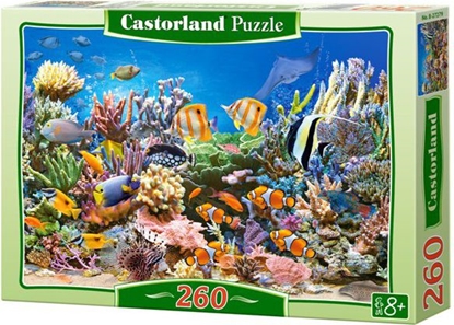 Picture of Castorland Puzzle Rafa Koralowa 260 elementów (27279)