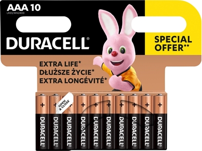 Изображение Duracell Duracell Basic LR3/AAA Blister 10