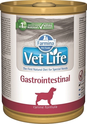 Picture of Farmina PIES VET LIFE GASTROINTESTINAL puszka 300g /6
