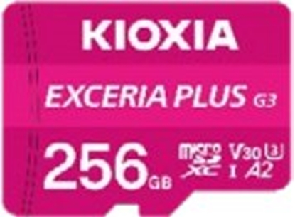 Picture of Karta Kioxia EXCERIA G3 256 GB MicroSDXC UHS-I Klasa 10