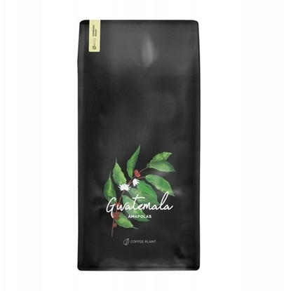 Attēls no Kawa ziarnista Coffee Plant Kawa ziarnista COFFEE PLANT Gwatemala Makówki 1kg