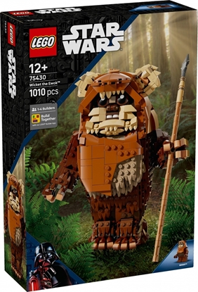 Picture of LEGO Star Wars Ewok Wicket (75430)