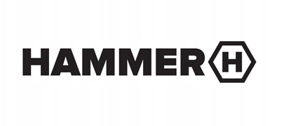 Picture of Smartphone Hammer Iron 6 5G 8/256 pomaraczowy