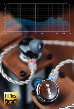 Изображение Suchawki FiiO FP3 TC - rosewood - Planar IEM z DAC USB-C