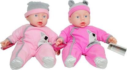 Attēls no Swede Bobas Doratka piewajcy i mówicy po polsku