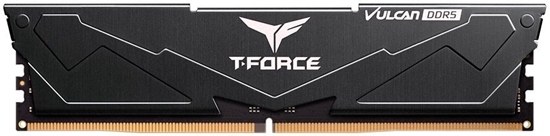 Picture of Team Group FLBD516G6000HC38A01, 16 GB, 1 x 16 GB, DDR5, 6000 MHz