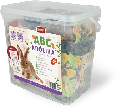 Attēls no Zestaw startowy dla królika w wiaderku (1040, 4138, 4312, 4130, 4345, 4157, 4132,6101)