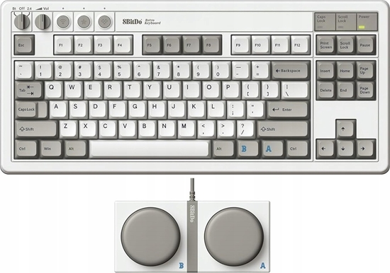 Picture of 8Bitdo Pro2 Gamepad G Edycja Klasyczna