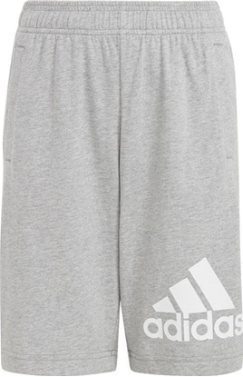 Picture of Adidas Spodenki adidas Essentials Big Logo Cotton Shorts HY4720