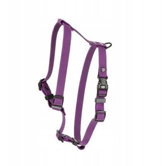 Изображение Barry King Szelki dla psa z trwaej gumy, fioletowy, 16mm/30-60cm