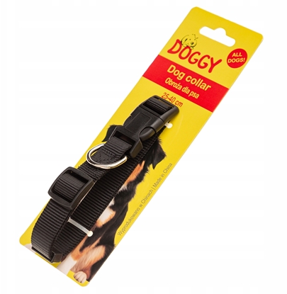 Picture of Beltimore OBROA canvas 2 cm  czarny