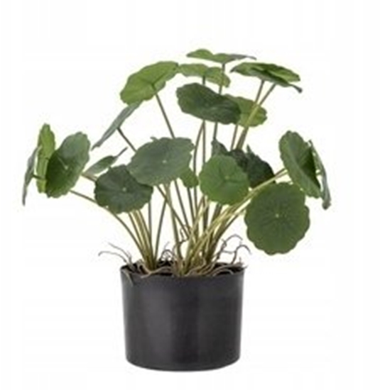 Изображение Bloomingville Copper Plante Zielony Sztuczne Kwiaty