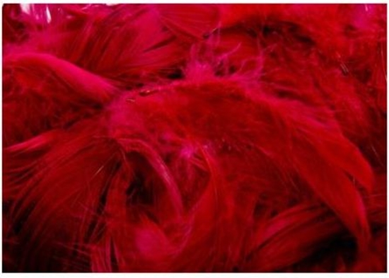 Изображение BREWIS Pirka 7g /P7-8/ czerwone