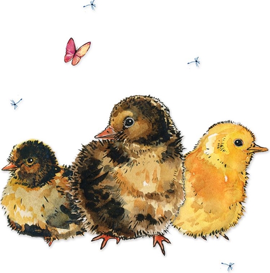 Picture of Clear Creation Karnet Swarovski kwadrat Pisklta (CL1228)