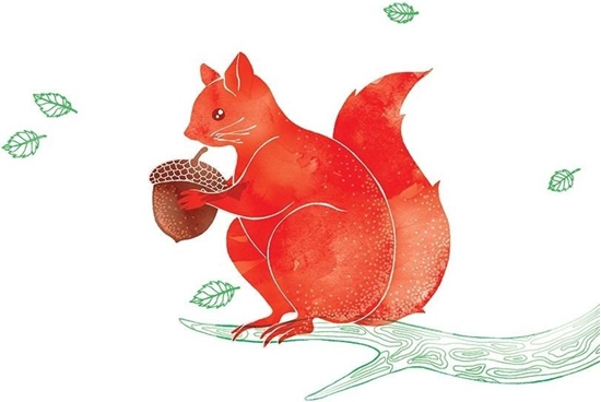 Picture of Clear Creation Karnet Swarovski kwadrat Wiewiórka (CL2615)