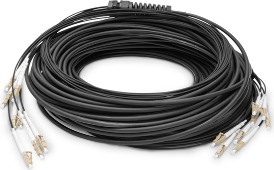 Изображение Digitus Pre-assembled Fiberglass Universal Breakout Cable, Multi Mode OM4, 8 Fibers, LC/UPC - LC/UPC