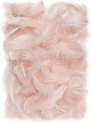 Picture of DP Craft Pirka dekoracyjne 5-12 cm Nude CEPI-022