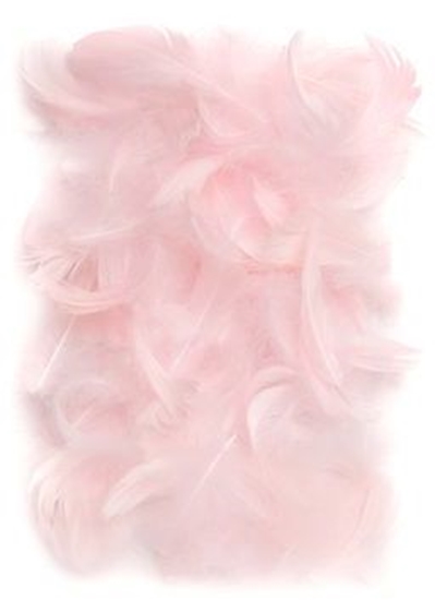 Изображение DP Craft Pirka dekoracyjne 5-12 cm Pink CEPI-018