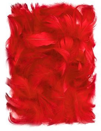 Picture of DP Craft Pirka dekoracyjne 5-12 cm Red CEPI-015