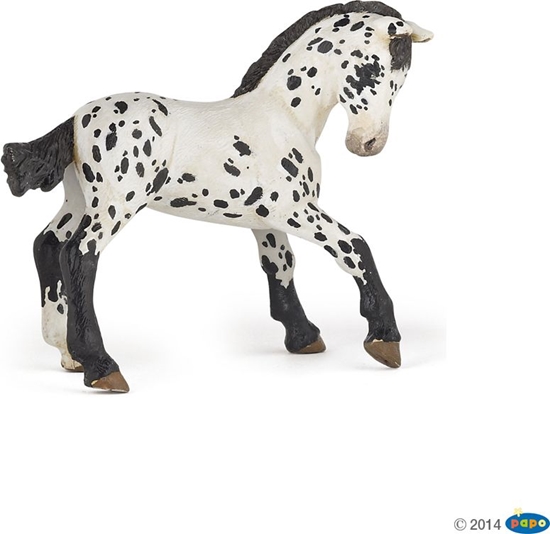 Изображение Figurka Russell Czarne rebie rasy Appaloosa Papo (51540)