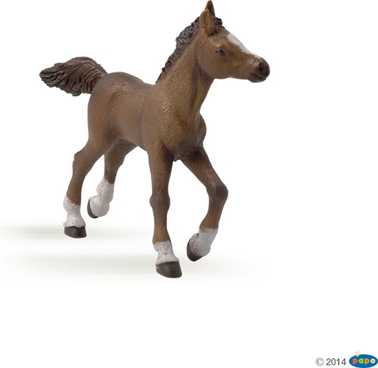 Picture of Figurka Russell rebie rasy angloarabskiej - Papo (51076)