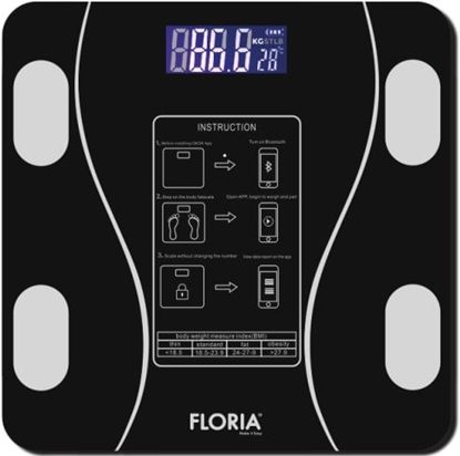 Picture of Floria ZLN8962