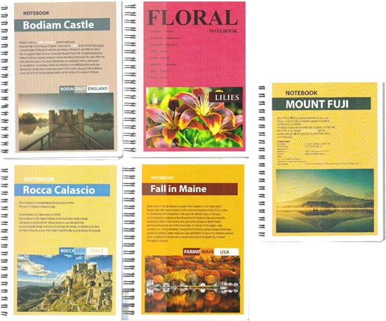 Picture of Fresh Koonotatnik B6 96 stron kratka