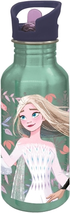 Picture of FROZEN ALU bottle sipper, 545 ml