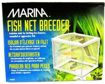 Attēls no Hagen KOTNIK DLA RYB /A-0934