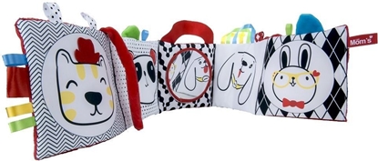 Picture of Hencz 984-KSIECZKA LUSTERKO