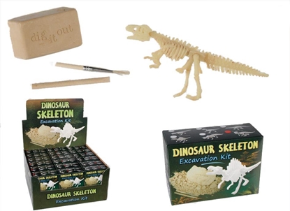 Attēls no Kemis Odkryj szkielet dinozaura