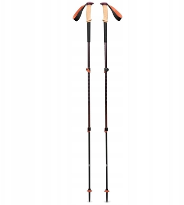 Attēls no Kije trekkingowe Black Diamond TRAIL CORK TREKKING POLES - fig