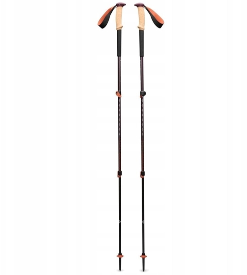 Picture of Kije trekkingowe Black Diamond TRAIL CORK TREKKING POLES - fig