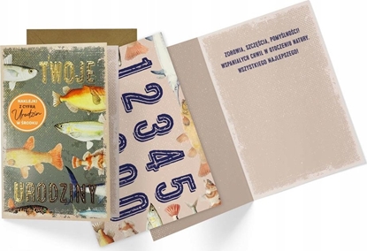 Изображение KUKARTKA Karnet B6 Urodziny (wymienne cyfry)