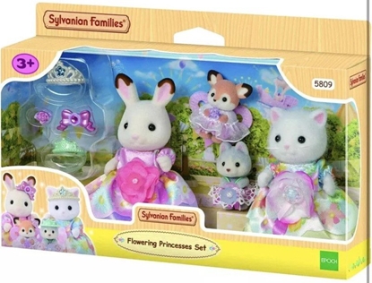 Picture of Kwiatowe ksiniczki