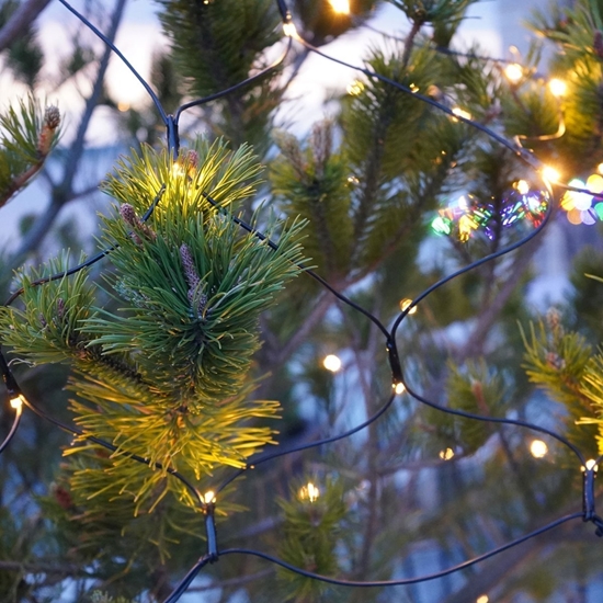 Picture of Lampki choinkowe Sirius Top-Line Energy Net StartSet 100L