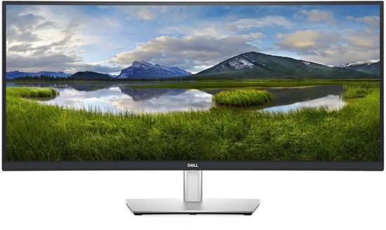 Picture of Monitor tecXL Dell P3421W - LED-Monitor - zakrzywiony - (34.14")