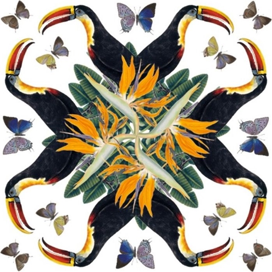 Picture of Museums & Galleries Karnet kwadrat White-throated Toucan z kopert