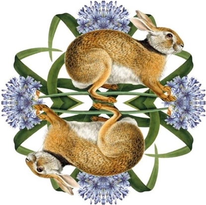 Изображение Museums & Galleries Karnet kwadrat z kopert Europejski Zajc Brzowy